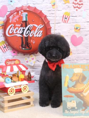 20230909ラブくん